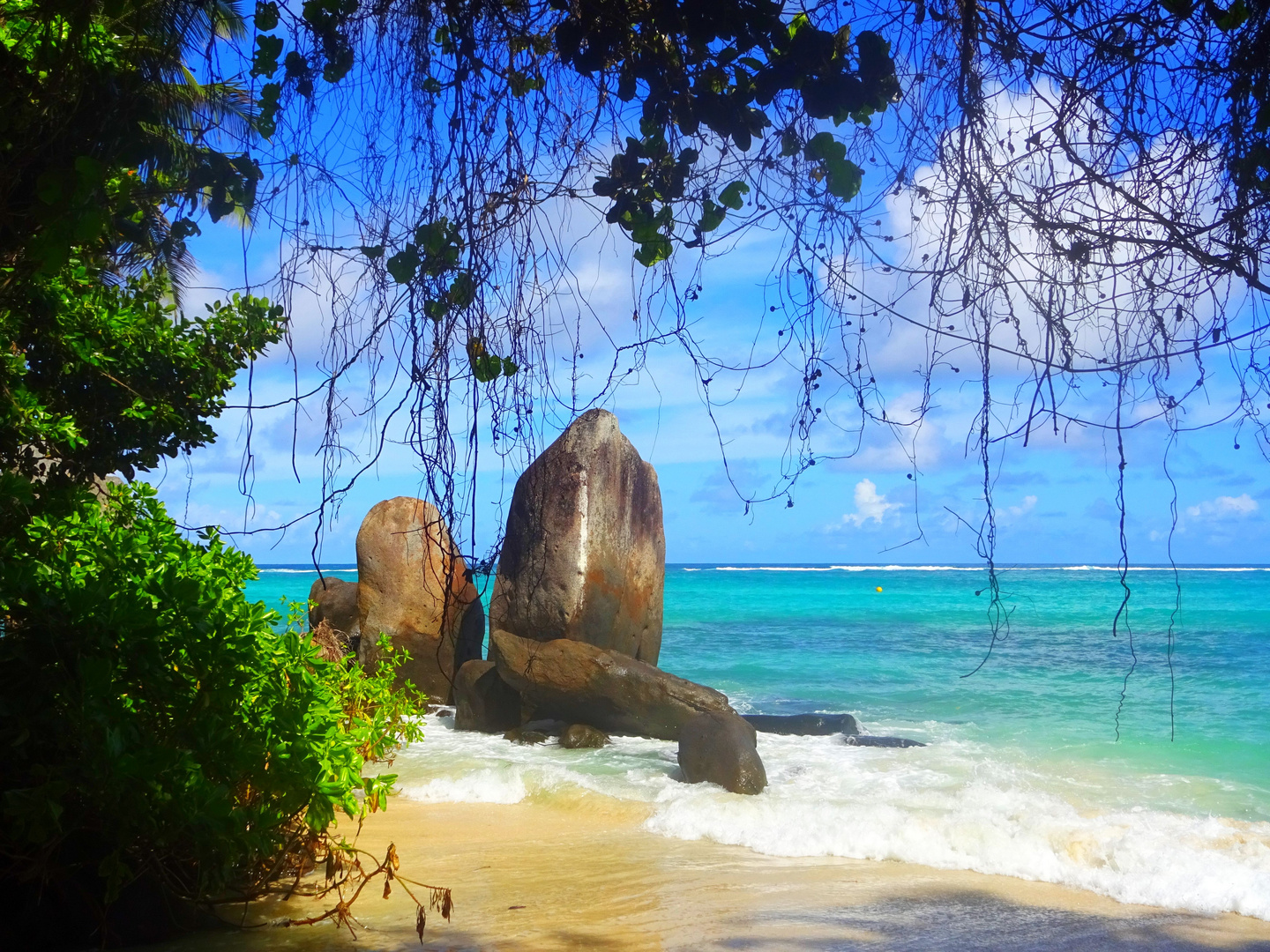 Seychellen / Farbenspiele auf Mahe / Indischer Ozean 