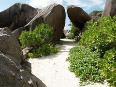 Seychellen - La Digue