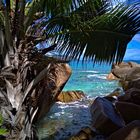Seychellen - La Digue