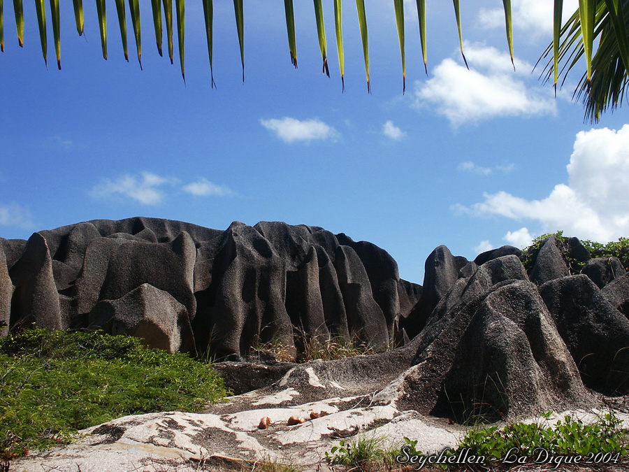 Seychellen - La Digue unter Palmen