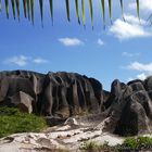 Seychellen - La Digue unter Palmen