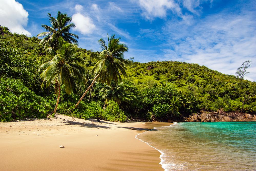 Seychellen - Mahé - Anse Major