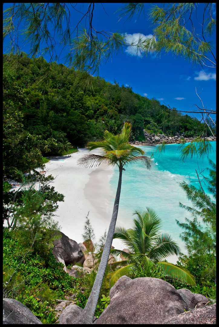 Seychellen - Praslin - Anse Georgette