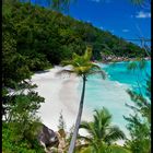 Seychellen - Praslin - Anse Georgette