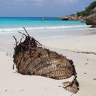 Seychellen - Praslin - Anse Lazio