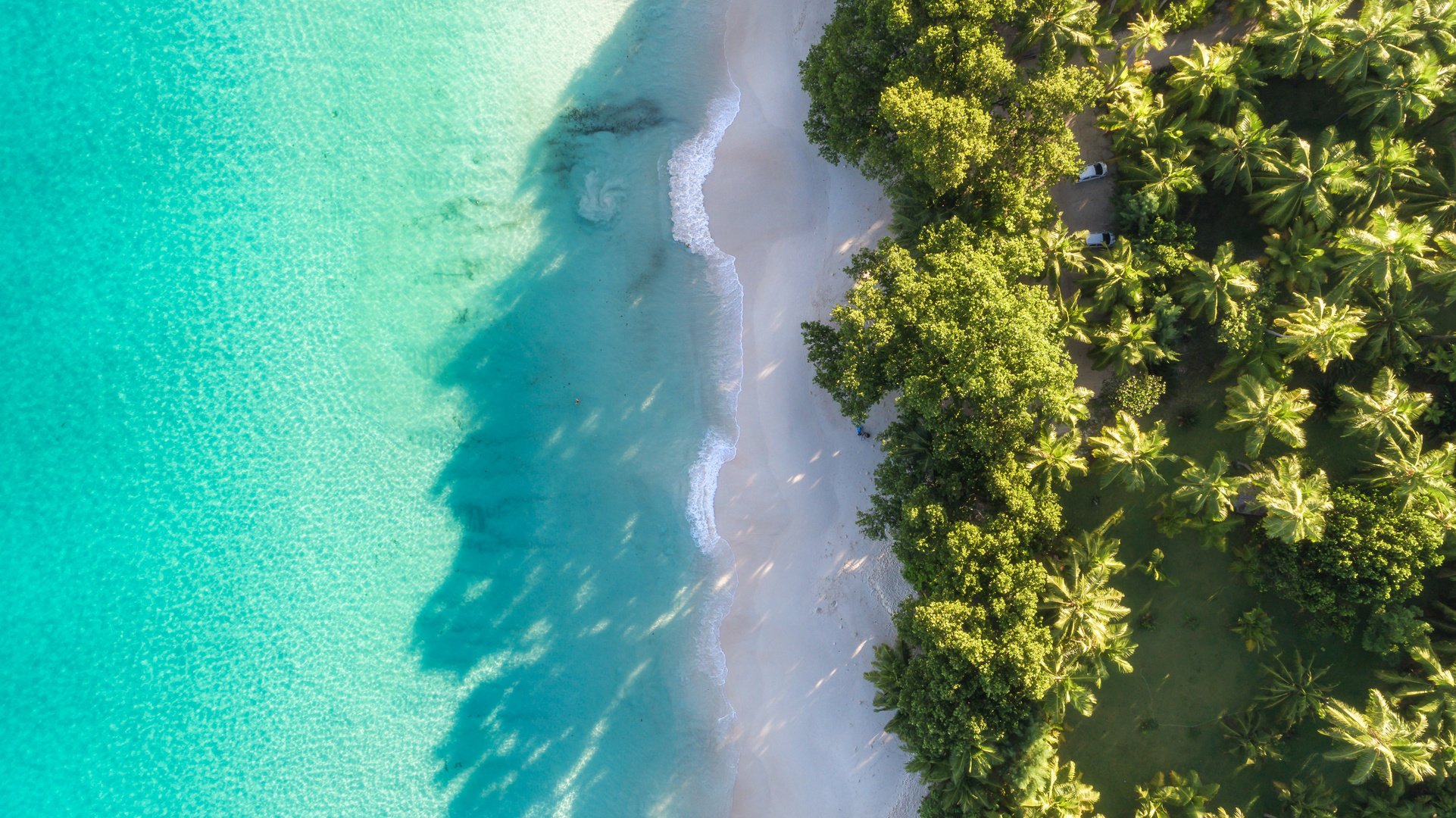 Seychellen - The Face in the Sea