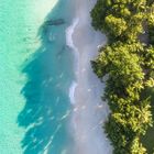 Seychellen - The Face in the Sea