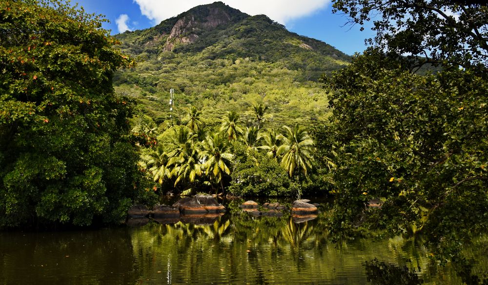 Seychellen Wildlife 