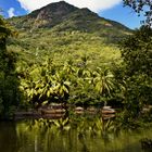 Seychellen Wildlife 