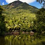 Seychellen Wildlife 