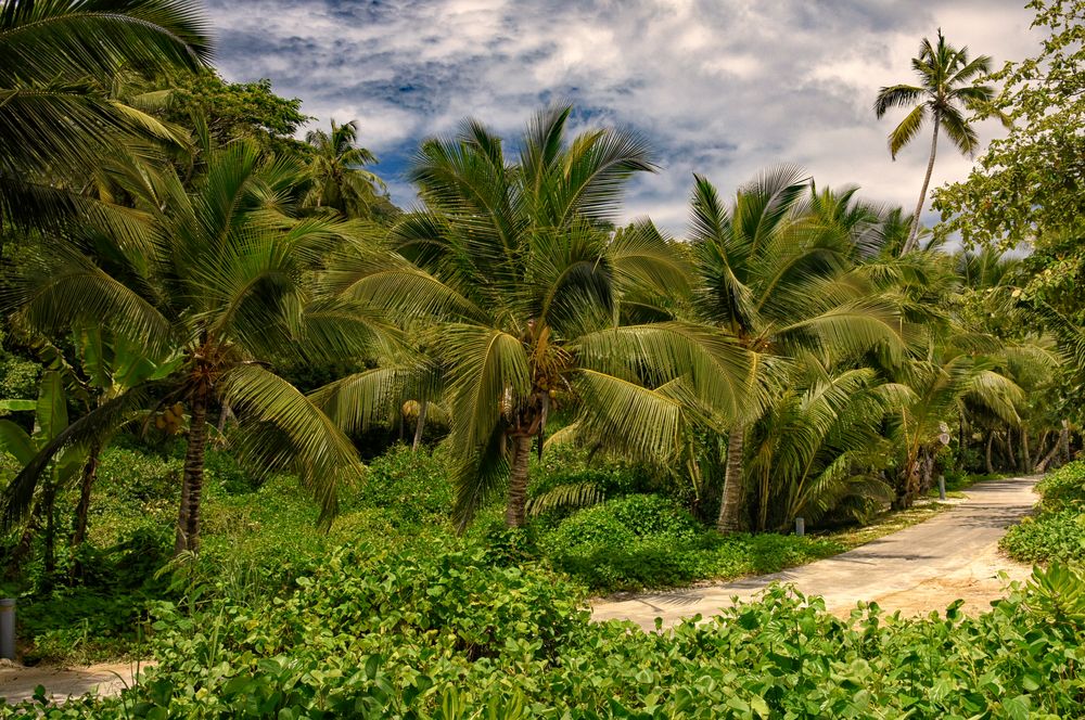 Seychellen Wildlife authentisch