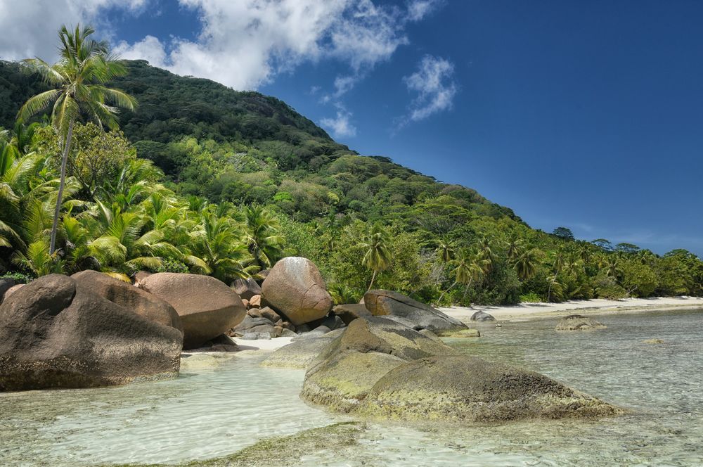 Seychellen Wildlife authentisch