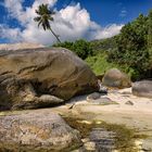 Seychellen Wildlife authentisch