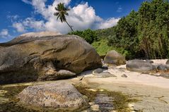 Seychellen Wildlife authentisch