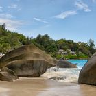 Seychellen Wildlife ungeschönt