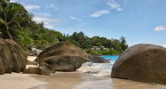 Seychellen Wildlife ungeschönt