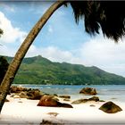 SEYCHELLES - 2 - 