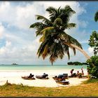 SEYCHELLES - 9 - 