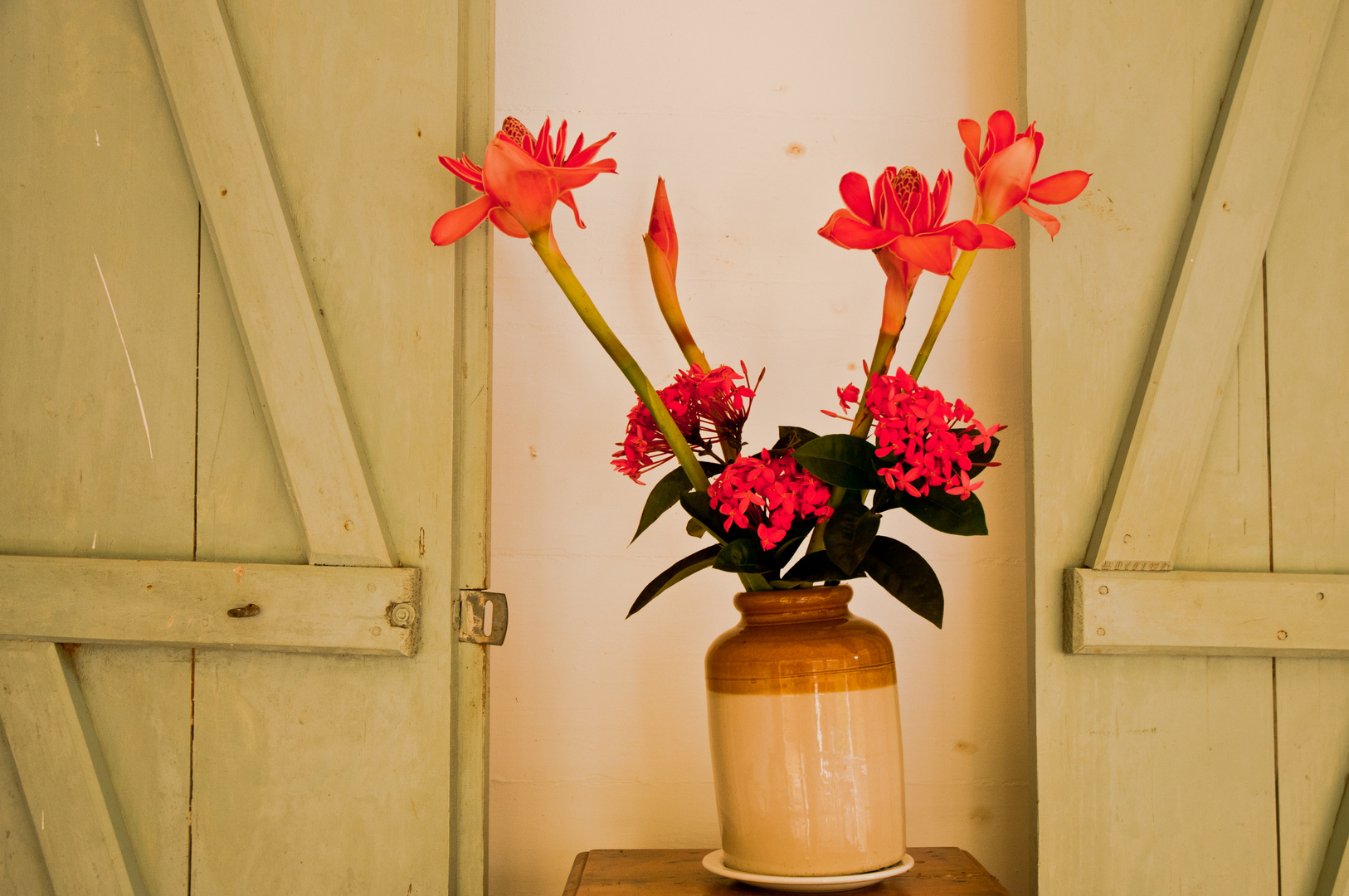 Seychelles flowers