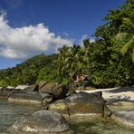 Seychelles Island - autentische Natur -