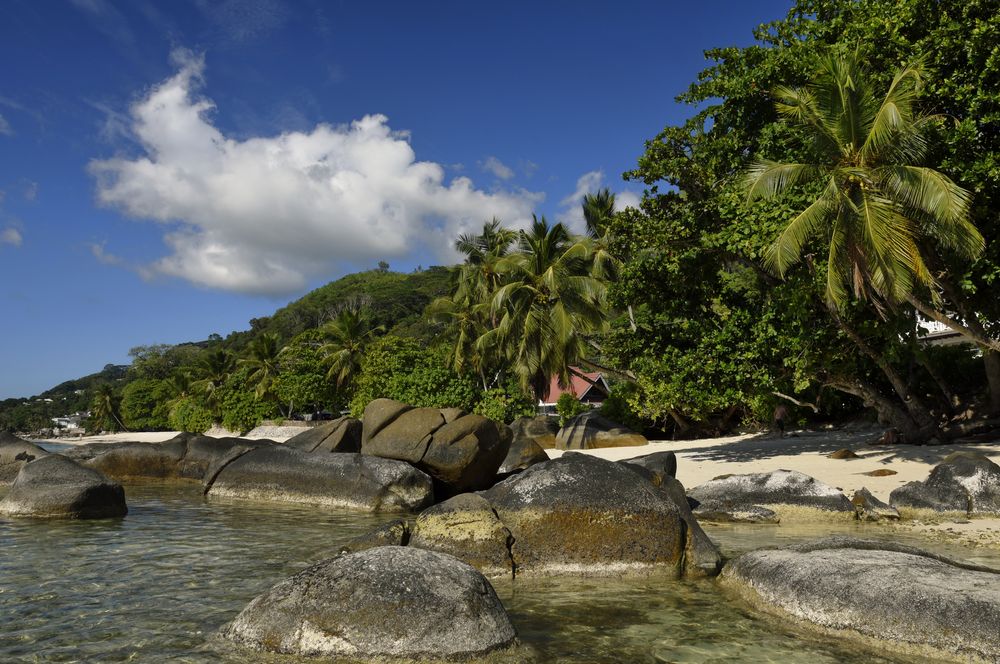 Seychelles Island - autentische Natur -