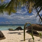 Seychelles - Robinson Crusoe Feeling - Silhuette Island