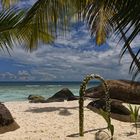 Seychelles - Robinson Crusoe Feeling - Silhuette Island