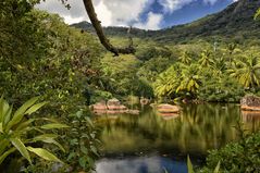 Seychelles Wildlife