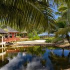 Seychelles Wildlife 