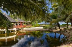 Seychelles Wildlife 