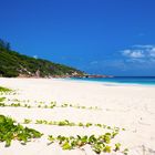 Seychelles_La Digue_Anse Petite 1