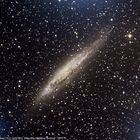 Seyfert-Galaxie NGC4945 im Centaurus