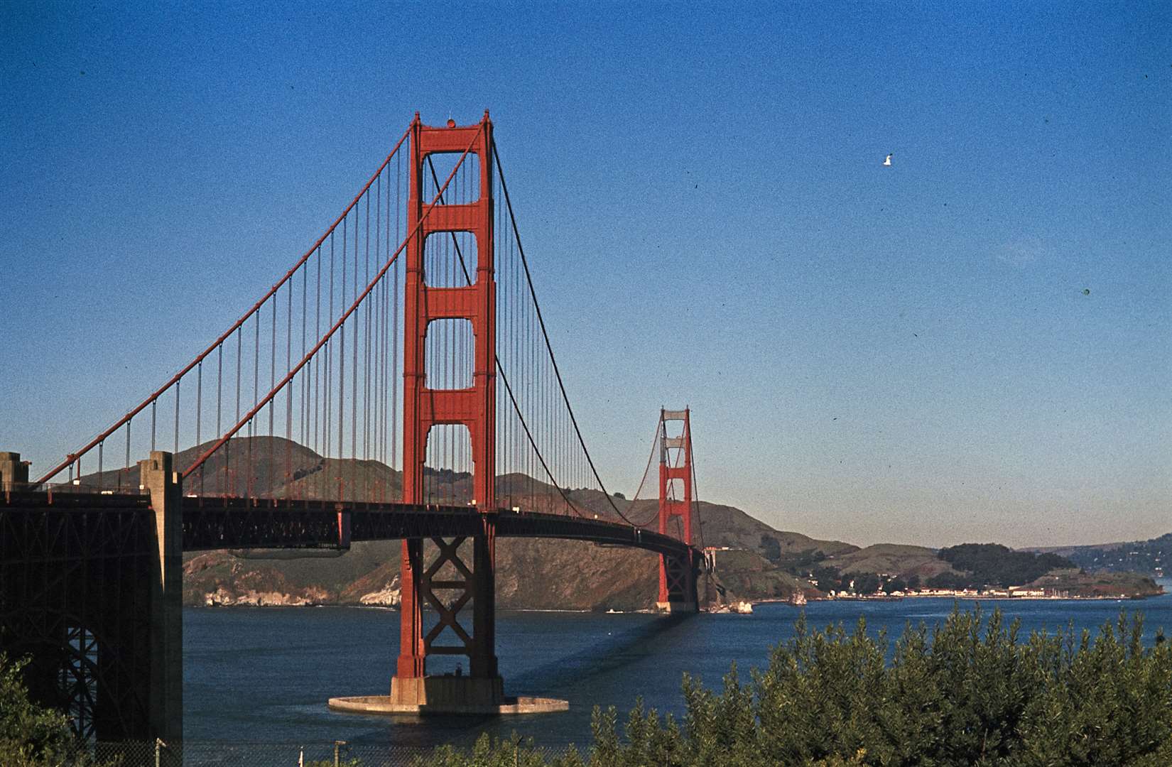 SF, Golden Gate 1981