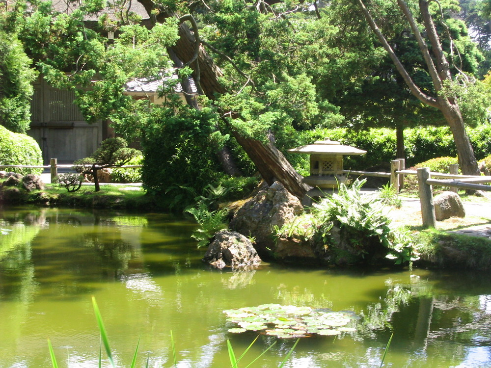 SF Japanese Garden