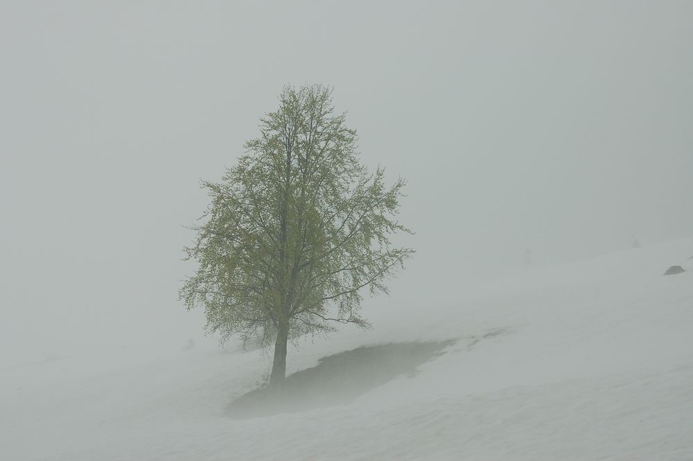 sfida all'inverno by Luigino Sartori 