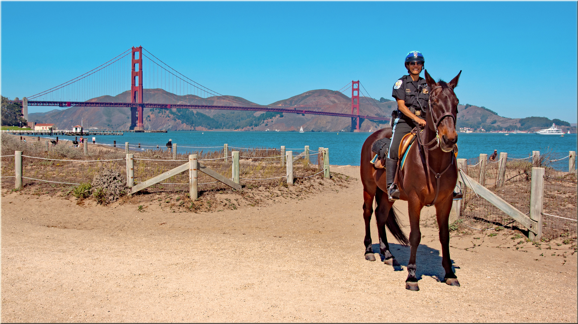 SFPD in Action