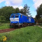 SFT (MaK) Großdiesellok 