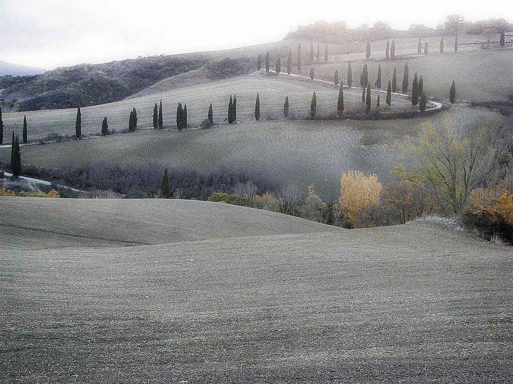 Sfumate prove di Primavera