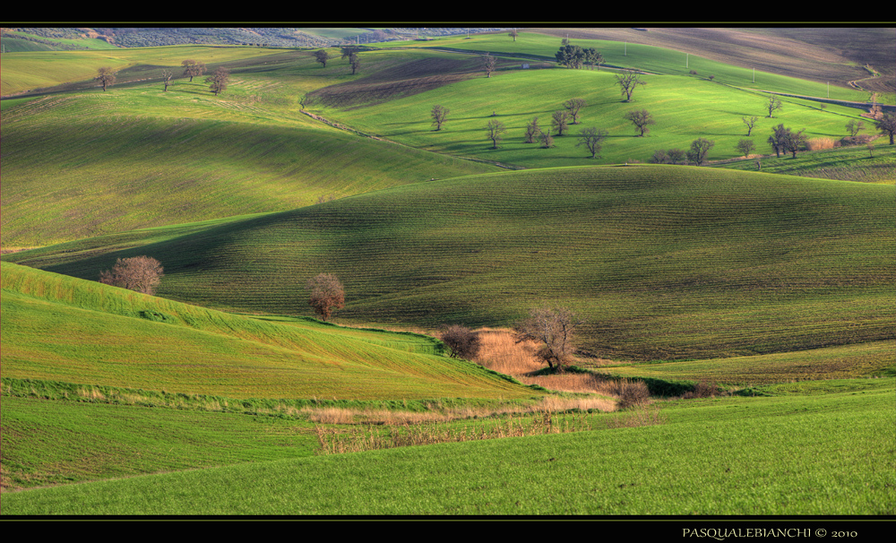 Sfumature