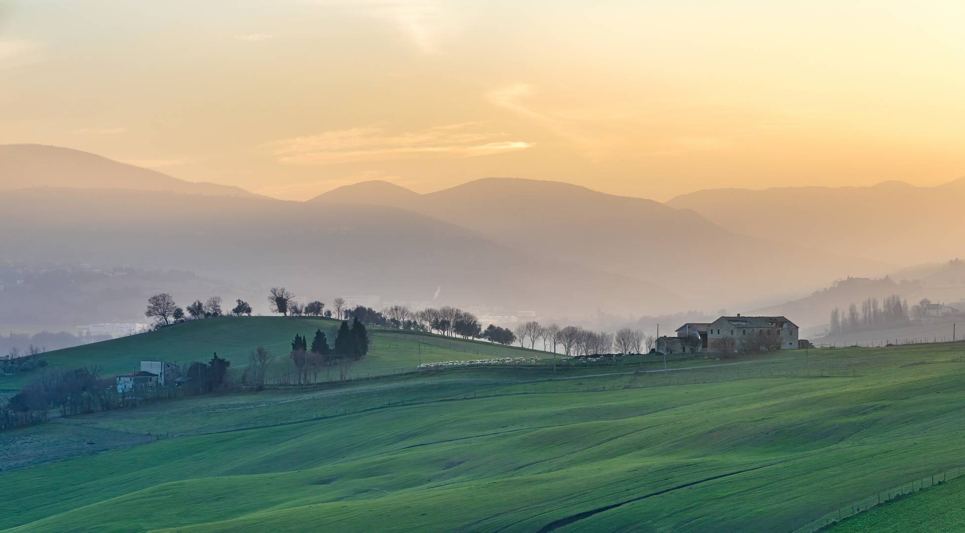 Sfumature al tramonto 