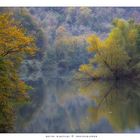 Sfumature d'autunno