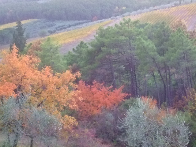 SFUMATURE D'AUTUNNO