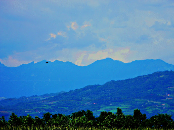 Sfumature di blu