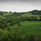 Sfumature di verde