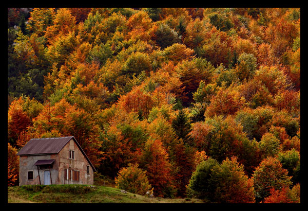 Sfumature d'ottobre