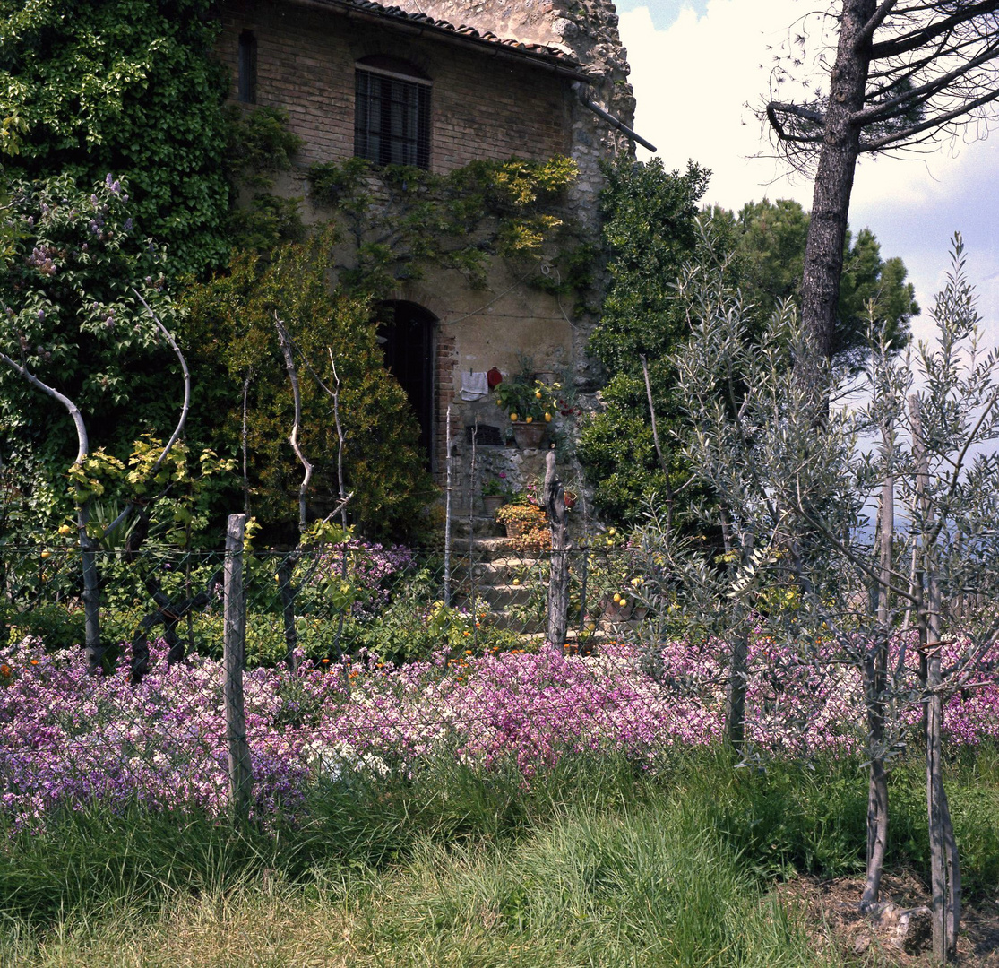 S.Gimignano, La Rocca