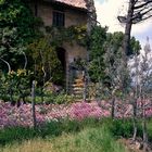 S.Gimignano, La Rocca