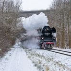 S´Glauchauer Julchen 35 1097 auf Vogtlandrundkurs