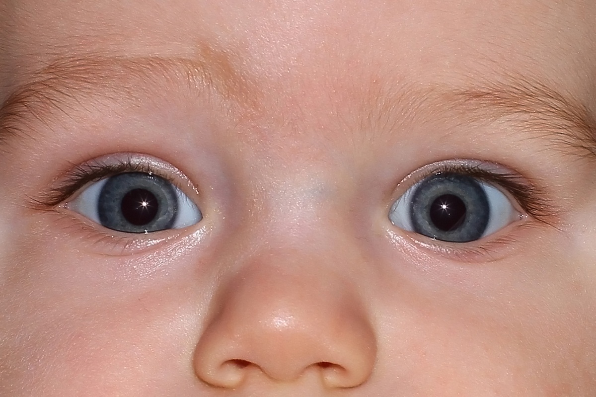 Sguardo di neonato Foto Immagini bambini, feelings&hellip;, persone Foto