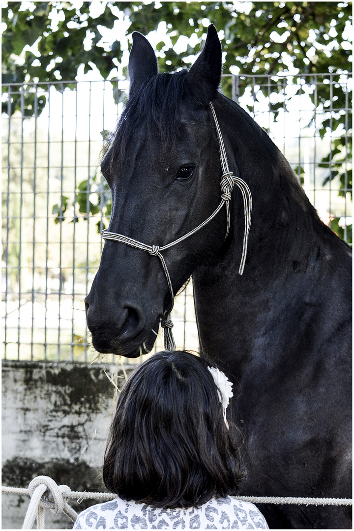 Sguardo d'intesa